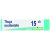 BOIRON Srl Thuya occ 15ch gl