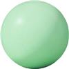 CAZSTYK Palla da Ginnastica Morbida per Pilates da 25 cm | Palla piccola da ginnastica per stretching core fitness e fisioterapie
