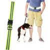 Generisch Cintura elastica riflettente ad alta luminosità, per corsa notturna | 116 cm di lunghezza x 4,6 cm di larghezza, fascia riflettente regolabile in vita, cintura luminosa ad alta visibilità per