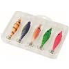Sunset Sunsquid Oppai Box X5 M - Stslg5654M
