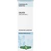ERBA VITA SALVIA FOGLIE TINT IAL50ML EBV - ERBA VITA - 902699608