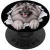 4KeeshondLovers Divertente Keeshond Sbirciando Carino Cane Amante Mamma Papà PopSockets PopGrip Adesivo