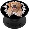 4LabradorRetrieverLovers Divertente Labrador Retriever Sbirciando Carino Amante Del Cane Mamma Papà PopSockets PopGrip Adesivo