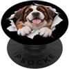 4SaintBernardLovers Divertente San Bernardo Sbirciando Carino Amante Cane Mamma Papà PopSockets PopGrip Adesivo