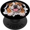 4BulldogLovers Divertente Bulldog Sbirciando Carino Amante Del Cane Mamma Papà PopSockets PopGrip Adesivo