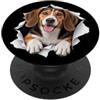 4HarrierLovers Divertente Harrier Sbirciando Carino Amante Del Cane Mamma Papà PopSockets PopGrip Adesivo