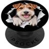 4WireFoxTerrierLovers Funny Wire Fox Terrier che sbircia carino amante dei cani mamma papà PopSockets PopGrip Adesivo