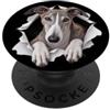 4GreyhoundLovers Divertente levriero che sbircia carino amante dei cani mamma papà PopSockets PopGrip Adesivo