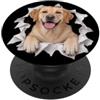 4LabradorLovers Divertente labrador che sbircia carino amante dei cani mamma papà PopSockets PopGrip Adesivo