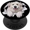 4GreatPyreneesLovers Divertente Grande Pirenei Sbirciando Carino Amante Cane Mamma Papà PopSockets PopGrip Adesivo