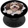 4HavaneseLovers Divertente Havanese Sbirciando Carino Amante Del Cane Mamma Papà PopSockets PopGrip Adesivo