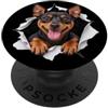 4MiniaturePinscherLovers Divertente Pinscher in miniatura che sbircia carino amante dei cani mamma papà PopSockets PopGrip Adesivo