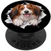 4NederlandseKooikerhondjeLovers Divertente Nederlandse Kooikerhondje Sbirciando Carino Cane Amante Mamma PopSockets PopGrip Adesivo