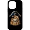 Funny Pirate Cat Animal Lovers Graphic G Custodia per iPhone 14 Pro Max Gatto divertente amante degli animali pirata gatto grafica estetica