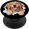 4GoldenRetrieverLovers Divertente Golden Retriever Sbirciando Carino Amante Del Cane Mamma Papà PopSockets PopGrip Adesivo