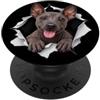 4XoloitzcuintliLovers Divertente Xoloitzcuintli Sbirciando Carino Amante Del Cane Mamma Papà PopSockets PopGrip Adesivo