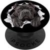 4CaneCorsoLovers Divertente Cane Corso Sbirciando Carino Amante Del Cane Mamma Papà PopSockets PopGrip Adesivo