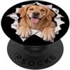 4GoldenRetrieverLovers Divertente Golden Retriever Sbirciando Carino Amante Del Cane Mamma Papà PopSockets PopGrip Adesivo