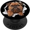 4BrusselsGriffonLovers Divertente grifone di Bruxelles che sbircia carino amante dei cani mamma papà PopSockets PopGrip Adesivo