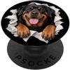 4RottweilerLovers Divertente Rottweiler Sbirciando Carino Amante Del Cane Mamma Papà PopSockets PopGrip Adesivo