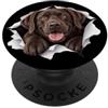 4LabradorLovers Divertente Choco Labrador Retriever Sbirciando Carino Cane Amante Mamma PopSockets PopGrip Adesivo