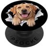 4LabradorRetrieverLovers Divertente Labrador Retriever Sbirciando Carino Amante Del Cane Mamma Papà PopSockets PopGrip Adesivo