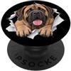 4MastiffLovers Divertente Mastino Sbirciando Carino Amante Del Cane Mamma Papà PopSockets PopGrip Adesivo