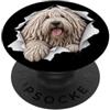 4KomondorLovers Divertente Komondor Sbirciando Carino Amante Del Cane Mamma Papà PopSockets PopGrip Adesivo