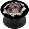 4StaffordshireBullTerrierLovers Divertente Staffordshire Bull Terrier che sbircia la mamma carina amante dei cani PopSockets PopGrip Adesivo
