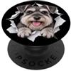 4MiniatureSchnauzerLovers Schnauzer divertente in miniatura che sbircia carino amante dei cani mamma papà PopSockets PopGrip Adesivo