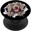 4WeimaranerLovers Divertente Weimaraner Sbirciando Carino Amante Del Cane Mamma Papà PopSockets PopGrip Adesivo