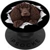4IrishWaterSpanielLovers Divertente Irlandese Water Spaniel Sbirciando Carino Amante Del Cane Mamma Papà PopSockets PopGrip Adesivo