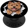 4NorwichTerrierLovers Divertente Norwich Terrier che sbircia carino amante dei cani mamma papà PopSockets PopGrip Adesivo
