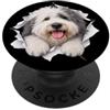 4OldEnglishSheepdogLovers Divertente vecchio cane da pastore inglese che sbircia carino amante dei cani mamma papà PopSockets PopGrip Adesivo
