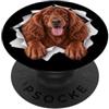 4IrishSetterLovers Divertente Setter Irlandese Sbirciando Carino Amante Del Cane Mamma Papà PopSockets PopGrip Adesivo