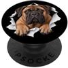 4BullmastiffLovers Divertente Bullmastiff Sbirciando Carino Amante Del Cane Mamma Papà PopSockets PopGrip Adesivo