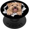 4SoftCoatedWheatenTerrierLovers Divertente terrier morbido rivestito di grano che sbircia la mamma carina amante dei cani PopSockets PopGrip Adesivo