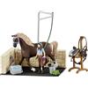 Schleich Horse Club 42438 Area di lavaggio con Emily e Luna