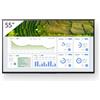 Sony Monitor Digital Signage Sony FW-55BZ30L 55" 4K IPS 440 cd/m² [FW-55BZ30L]