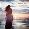 V/A Long Hot Summer: Mixed & Selected By Dj Meme (CD)