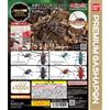Bandai (Disponibile) Figura di scarabeo gigante Bandai Bio Gallery - Modello realistico di scarabeo di cervo giapponese e insetti Longhorn per la collezione di entomologia