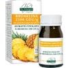 DR.GIORGINI SER-VIS Srl BROMELINA 2500GDU/G 60PAST
