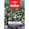 Blumen SEMI MARGHERITINA SELVATICA BIANCA DEI PRATI BLUMEN