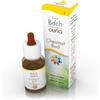 GUNA - Guna Chestnut Bud Fiori Di Bach Gocce Orali per Memoria e Apprendimento 10 ml - 801604772