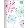 ALPHA EDITION Collegetimer Blowballs 2022/2023 - Schüler-Kalender A5 (Kalender)
