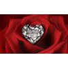 Certificato 1 PC Loose Cvd Diamante D Colore 5 X 5 MM Forma Cuore If Trasparenza