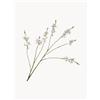 Silk-ka Set di 2 fiori artificiali Crocosmia - Bianco, Rosa