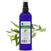 VOSHUILES.COM HUILES ESSENTIELLES & VEGE VOSHUILES - Olio Essenziale di Eucalipto Globulus - 100ml | Profumo Naturale e Puro - Cura e Aromaterapia