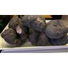 Gourmet TARTUFO NERO ESTIVO 100g FRESCO CALABRIA CAT. I I Tartufi del Pollino® Gourmet