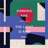 Botany Dimming Awe, the Light Is Raw (Vinyl LP) 12" Album